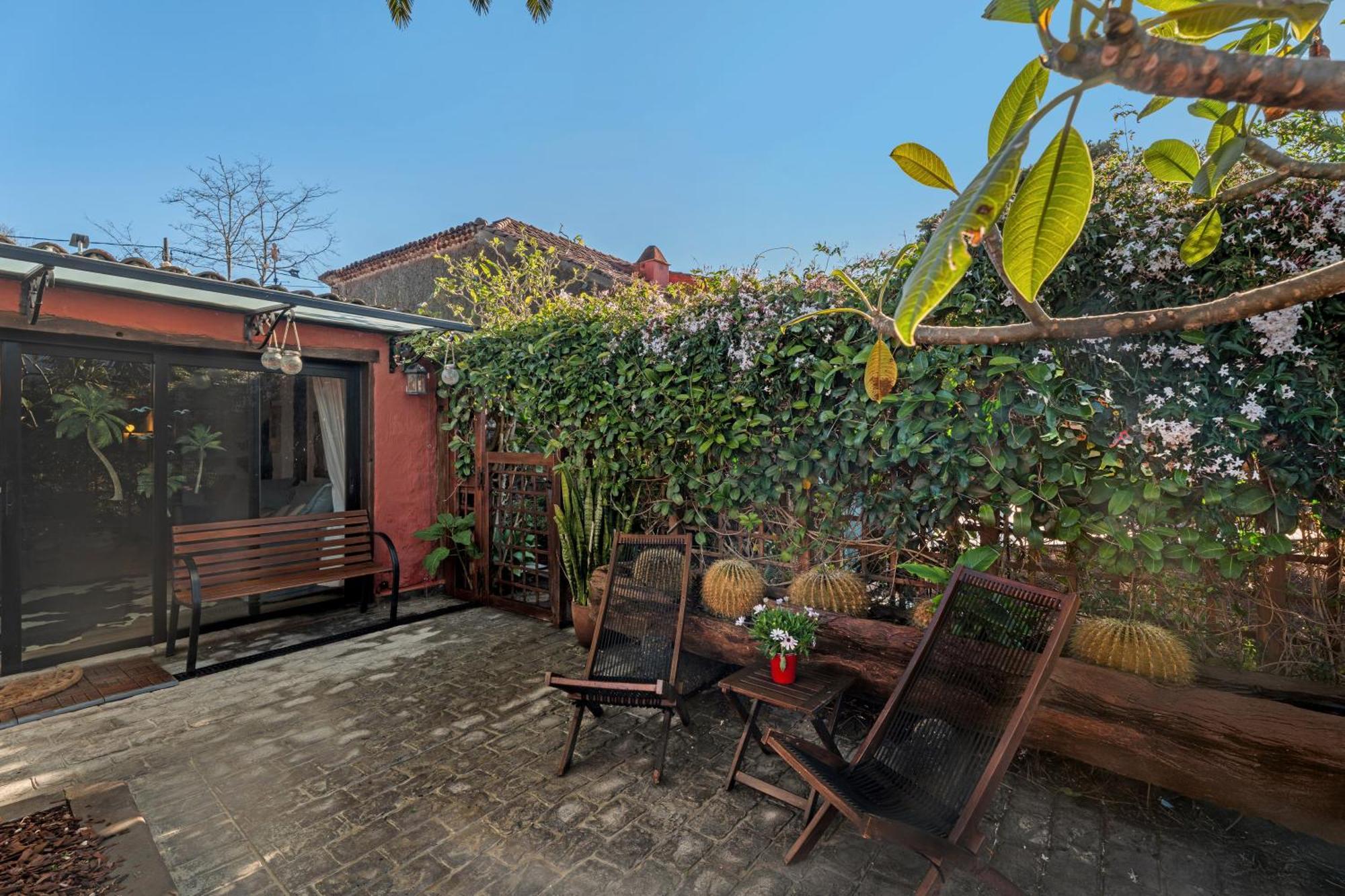 Casa Palmera - Private Paradise Tacoronte Εξωτερικό φωτογραφία